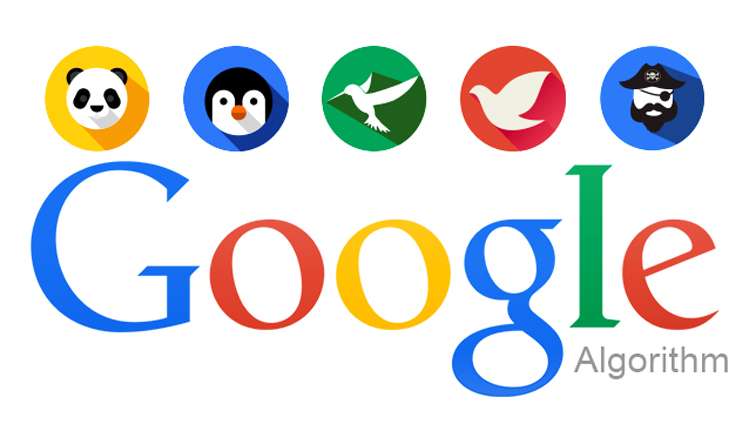 What are Google Algorithms, and how does it work?